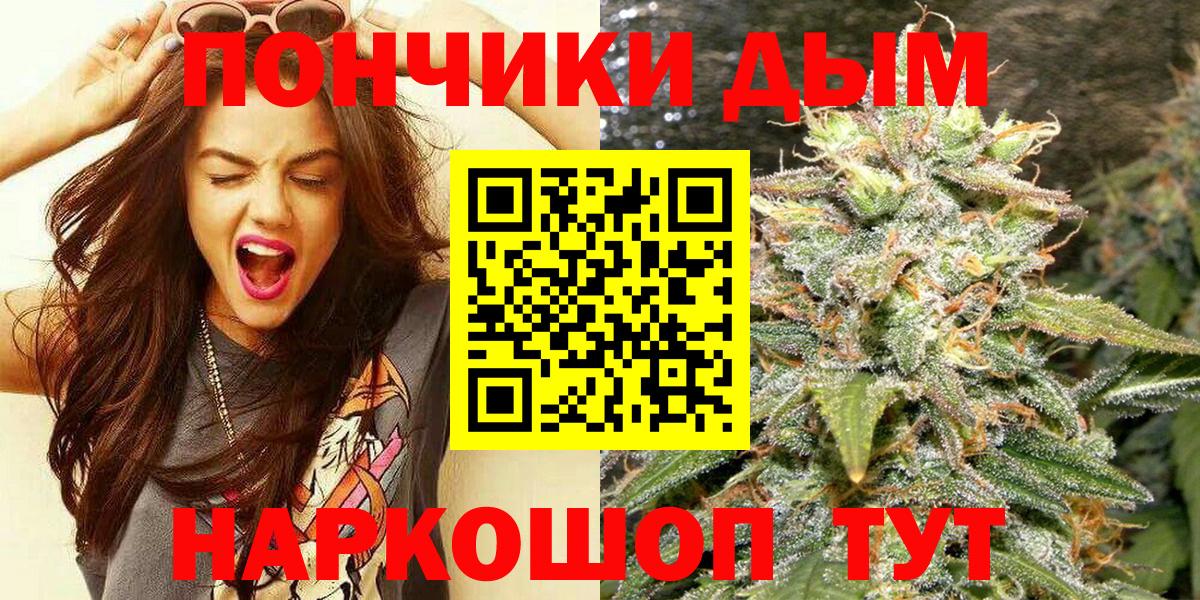 Шишки марихуана семена Дмитров
